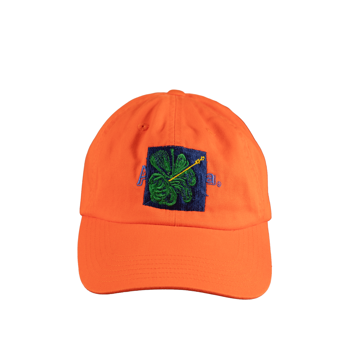 SHFG, Alvaro Barrington x Arizona Vintage Hat - Assorted