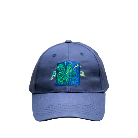 SHFG, Alvaro Barrington x Arizona Vintage Hat