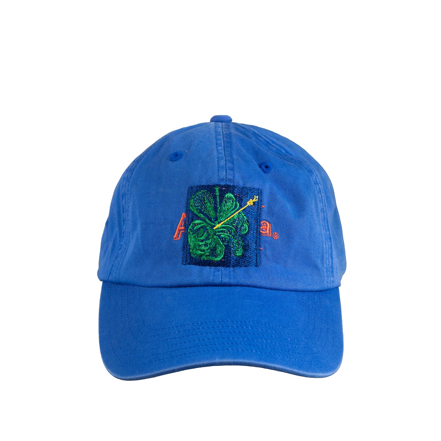 SHFG, Alvaro Barrington x Arizona Vintage Hat