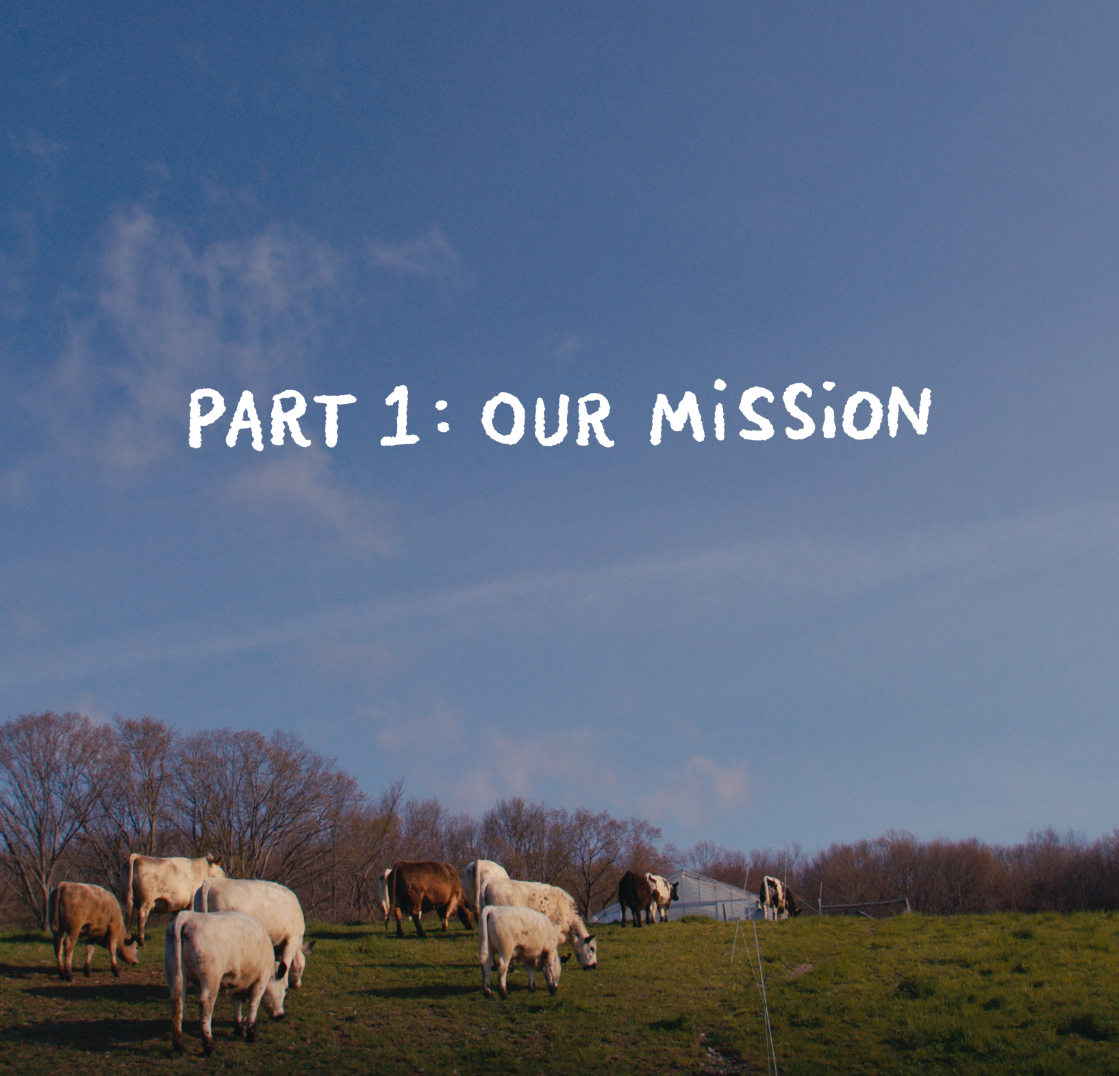 Load video: Part 1: Our Mission