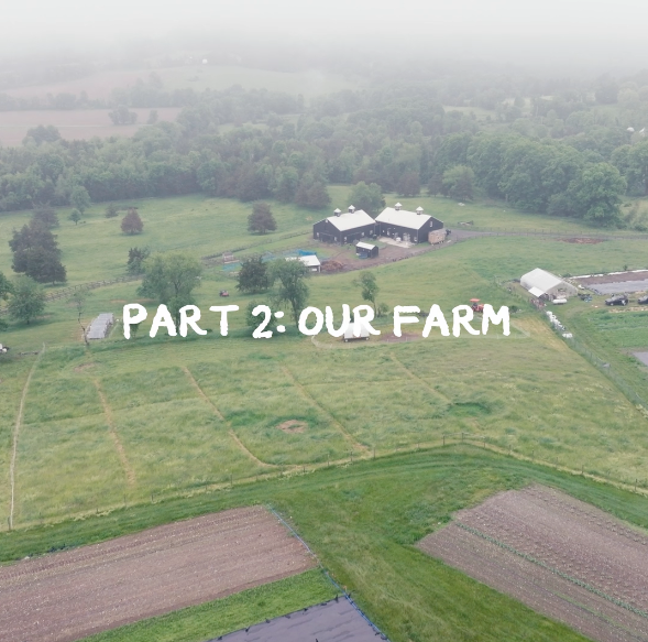 Load video: Part 2: Our Farm