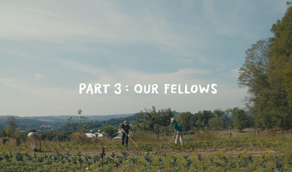 Load video: Part 3: Our Fellows