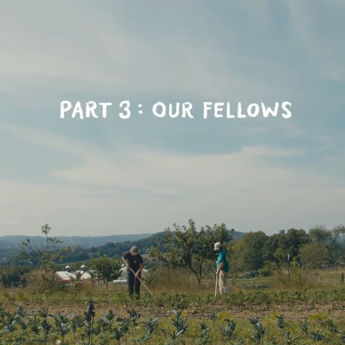 Load video: Part 3: Our Fellows